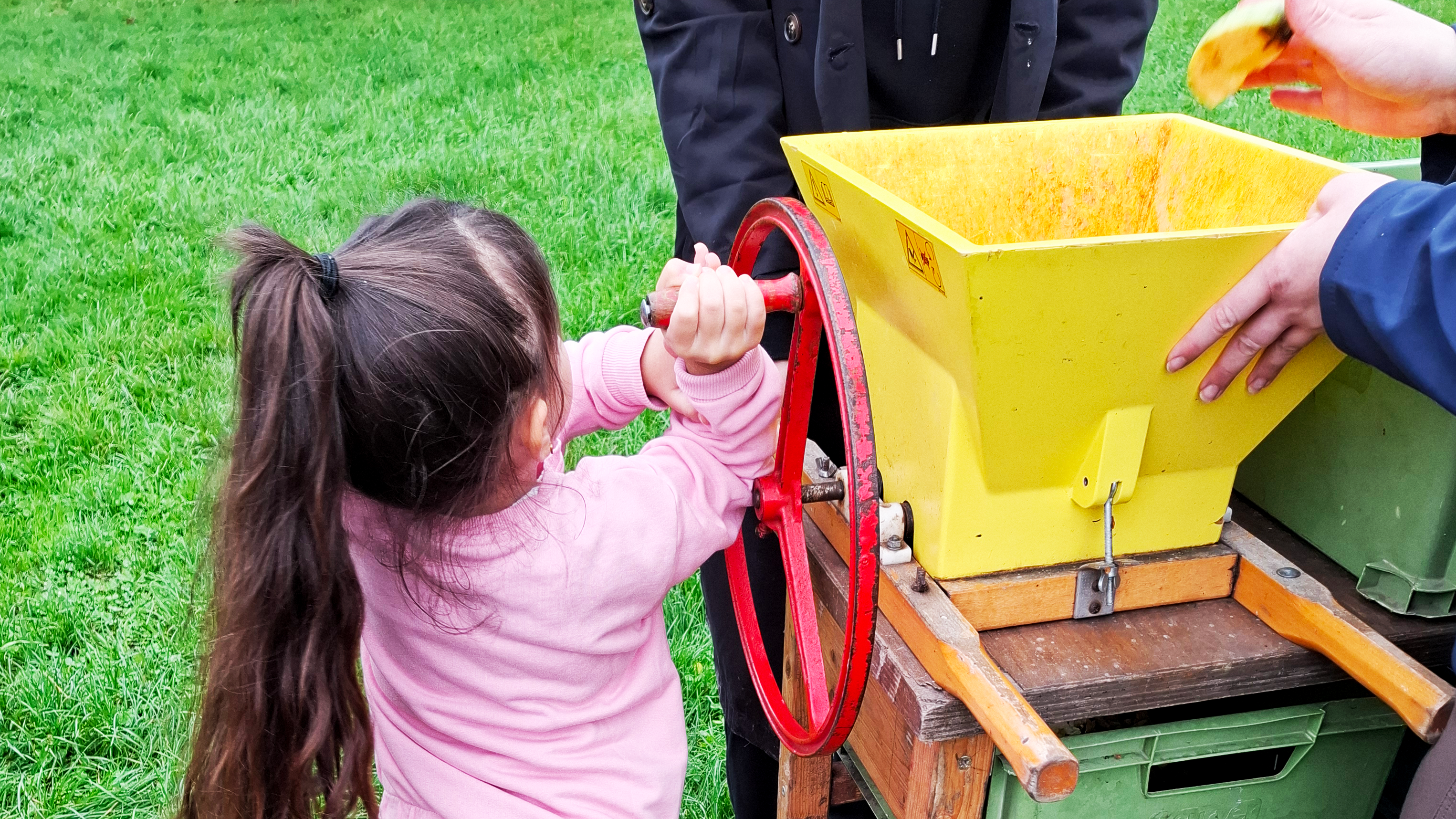 Auf dem Foto sieht man ein kleines Mädchen, das an einer handbetriebenen Apfelpresse arbeitet. Sie dreht das rote Rad der Maschine, um Äpfel zu pressen. Das Gerät hat einen gelben Trichter, in den Früchte eingelegt werden. Es handelt sich um eine Aktivität im Freien. Das Mädchen trägt Gummistiefel und einen rosafarbenen Trainingsanzug, passend für das Wetter und die Aktivität auf dem Gras.