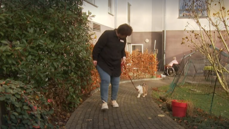 Auf dem Foto ist eine Person zu sehen, die einen kleinen Hund an der Leine entlang eines gepflasterten Weges führt. Die Umgebung wirkt wie ein Garten oder eine Außenanlage mit Büschen, herbstlichen Bäumen und einigen Gegenständen, darunter ein roter Blumentopf und ein Kinderwagen oder Rollstuhl im Hintergrund. Es scheint sich um eine ruhige, gepflegte Szene zu handeln, möglicherweise in einem Wohn- oder Pflegeumfeld.