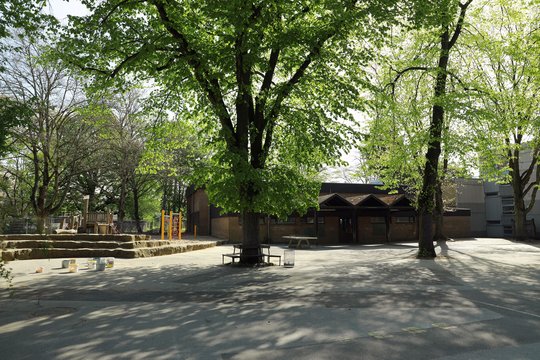 Das Foto zeigt zwei Bäume auf dem Schulhof. Im Hintergrund ist eine Halle zu sehen.