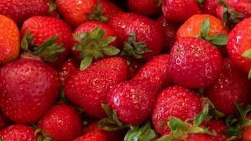 Zu sehen ist ein Sieb voller Erdbeeren.